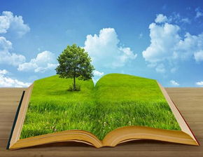 三部門聯(lián)合印發(fā) 十三五 環(huán)境領(lǐng)域科技創(chuàng)新專項(xiàng)規(guī)劃