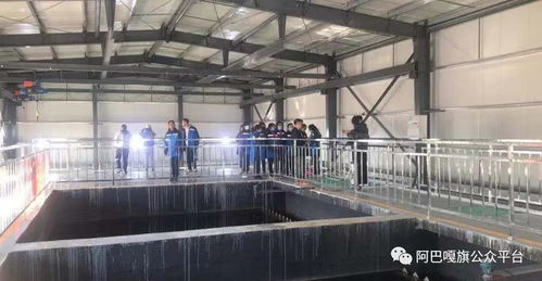 走進污水處理廠 錫林郭勒盟阿巴嘎旗開展環保設施向公眾開放活動
